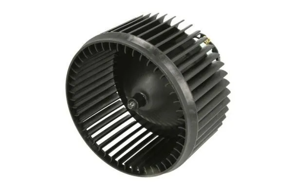 Motor de ventilador de forno (de aquecedor de salão) DDP012TT Thermotec