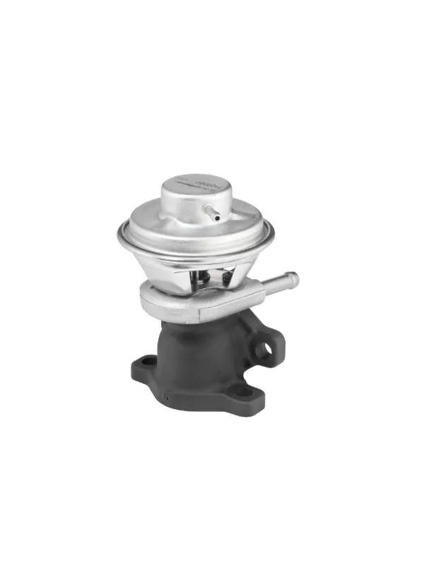 Válvula EGR de recirculação dos gases 712069D Wahler