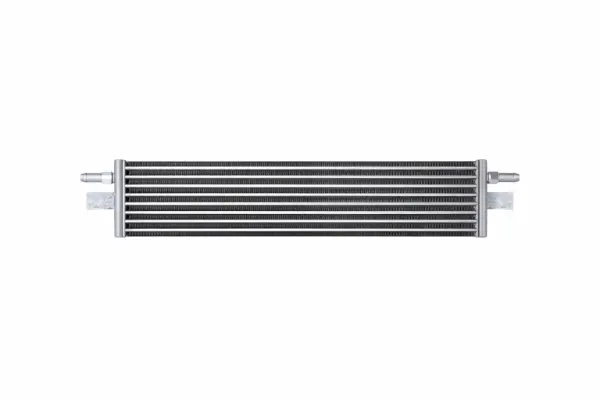 Radiador de esfriamento, Caixa Automática de Mudança 17219494828 BMW