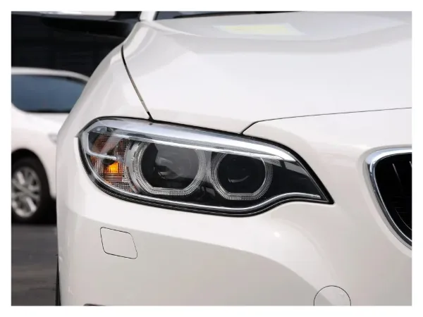 Luz esquerda 63117304461 BMW