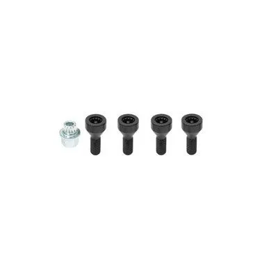 Parafuso de roda 36136786419 BMW
