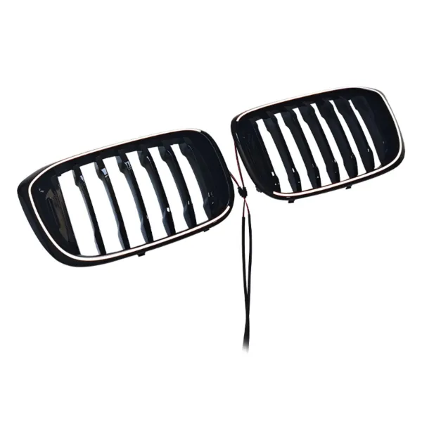 Grelha do radiador direita 51138469960 BMW