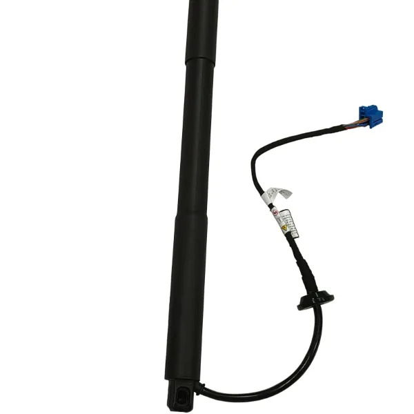 Amortecedor de tampa de porta-malas (de 3ª/5ª porta traseira) 51247434041 BMW