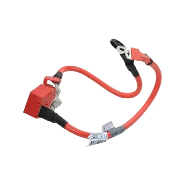 Cabo de borne positivo de bateria recarregável (PILHA) 61129259425 BMW