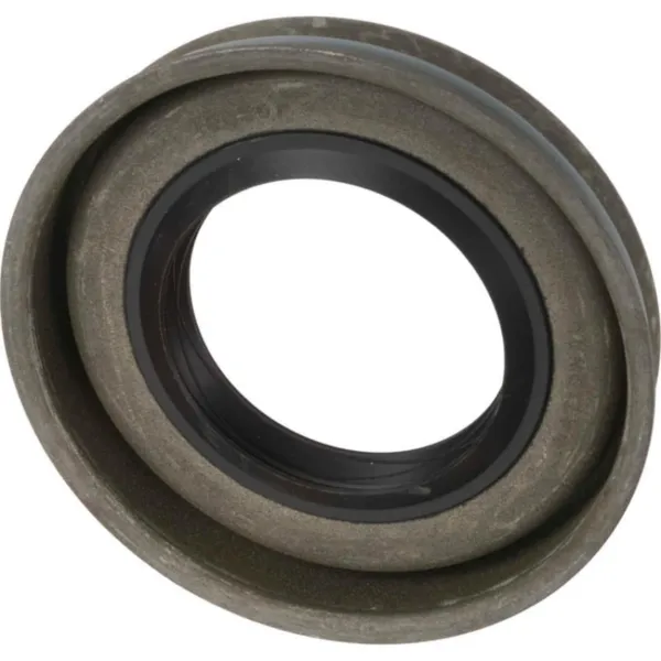 Bucim de cubo traseiro 3896454 Ford