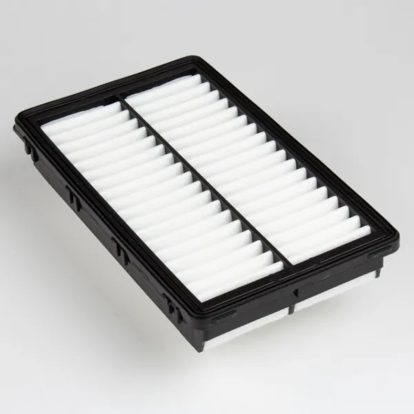 Filtro de ar 28113L1000 Hyundai/Kia