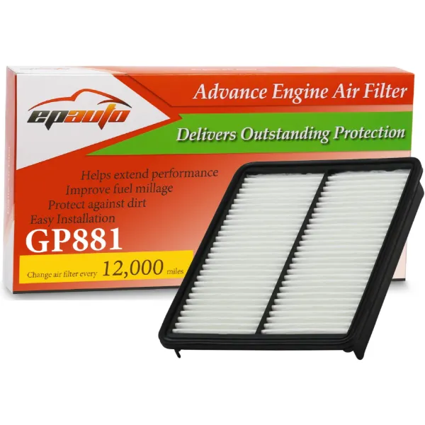 Filtro de ar 281132P100 Hyundai/Kia