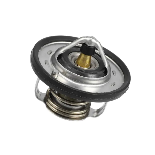 Termostato 255002 Hyundai/Kia