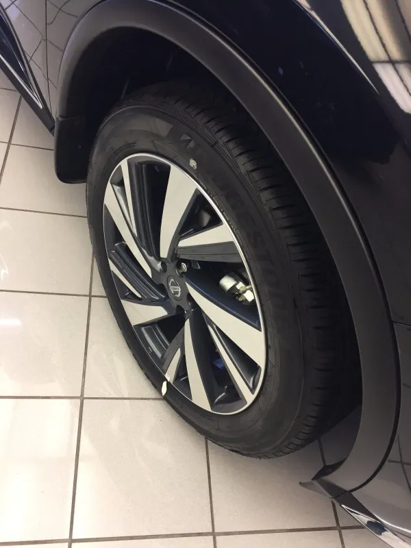 Expansor (placa sobreposta) de arco do pára-lama dianteiro esquerdo 768525AA0A Nissan/Infiniti