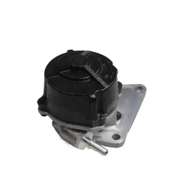 Bomba a vácuo 456553 Peugeot/Citroen