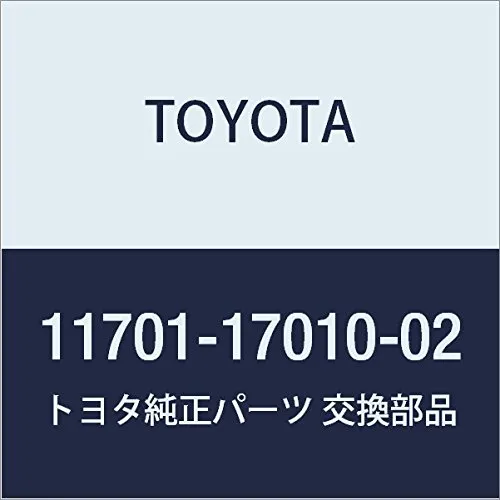 Folhas inseridas principais de cambota, kit, padrão (STD) 117011701002 Toyota