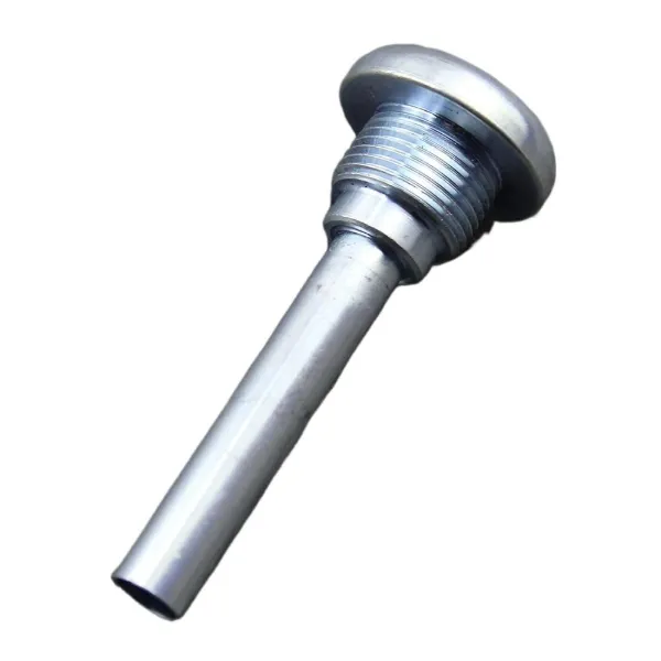 Tampão da guia de sonda da Caixa Automática de Mudança 30713219 Volvo