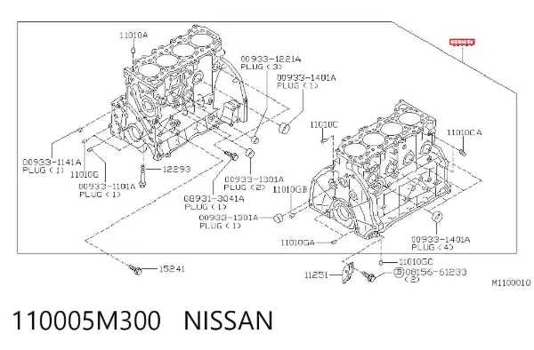 Bloco de cilindros de motor 110005M300 Nissan/Infiniti