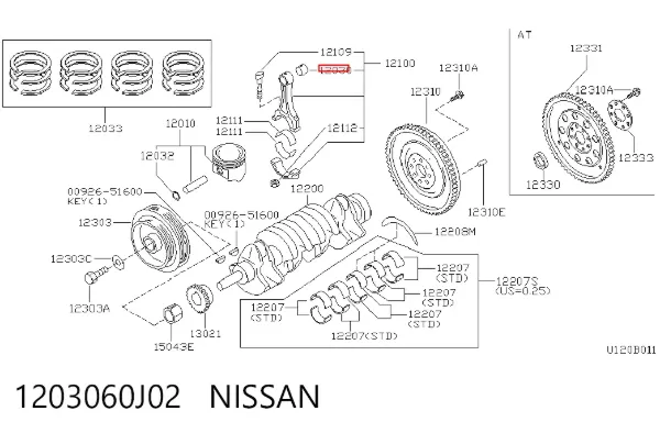  1203060J02 Nissan/Infiniti