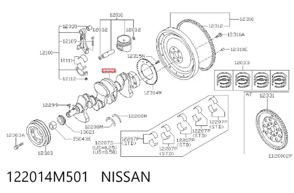 Cambota de motor Nissan Primera WP12