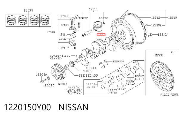 Cambota de motor 1220150Y00 Nissan/Infiniti