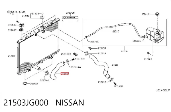 Mangueira (cano derivado) inferior do radiador de esfriamento 21503JG000 Nissan/Infiniti