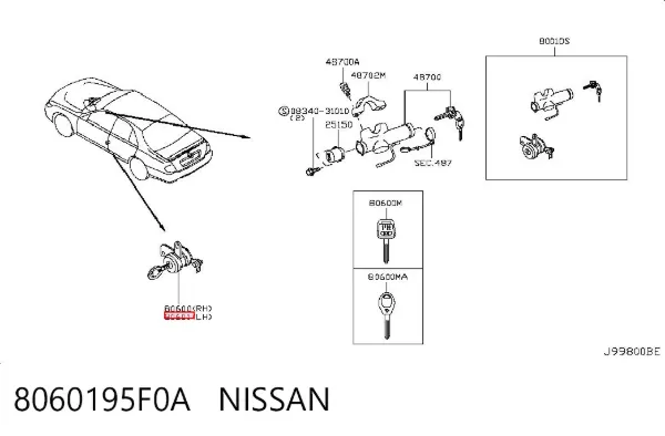  8060195F0A Nissan/Infiniti