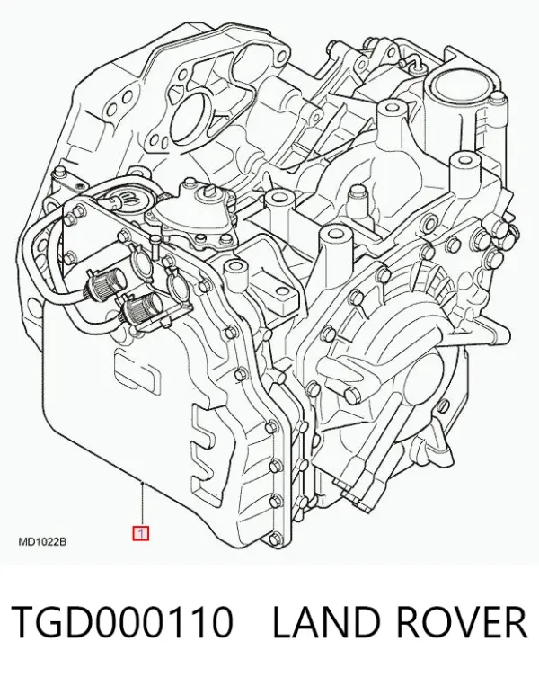 Caixa Automática de Mudança montada TGD000110 Land Rover