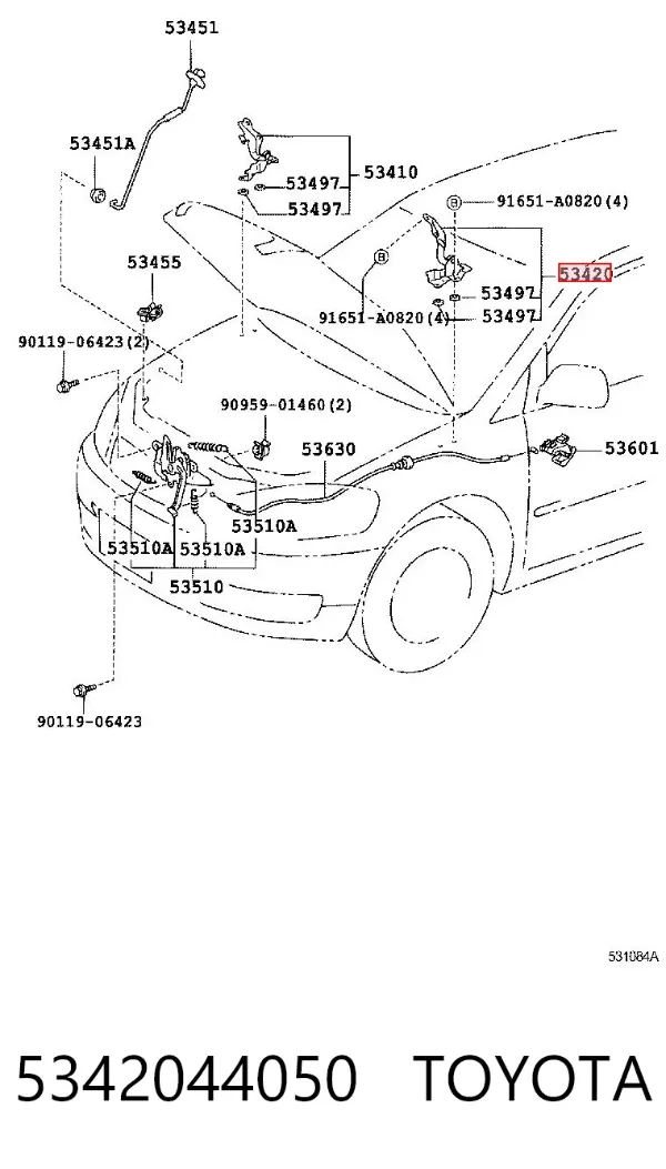 Gozno da capota direito 5342044050 Toyota