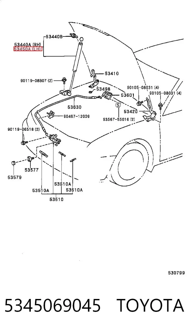 Amortecedor da capota Toyota Camry IV