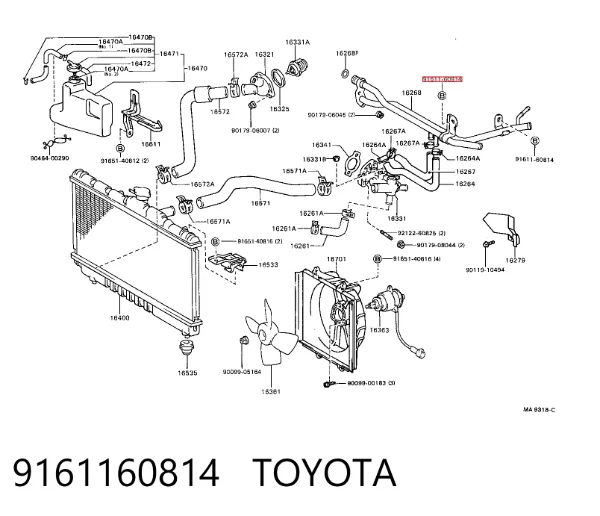  9161160814 Toyota