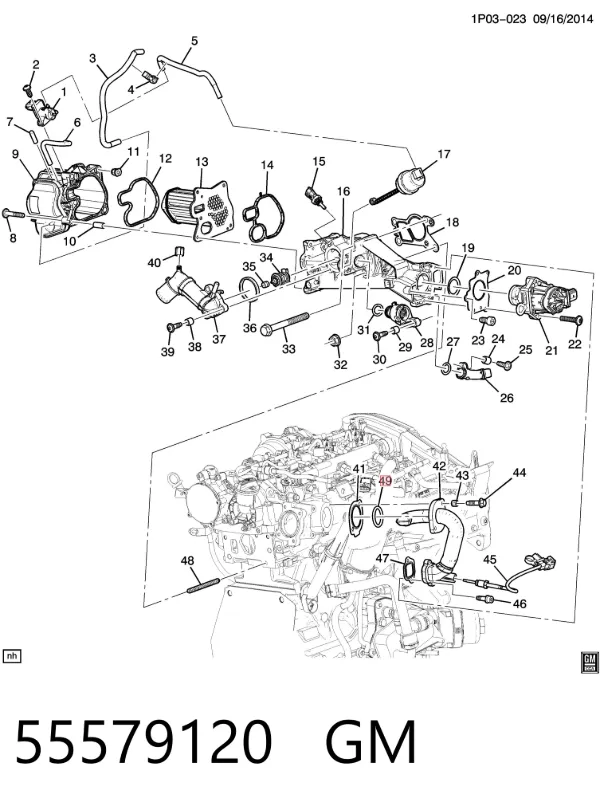 Vedante anular de cano derivado EGR 55579120 General Motors