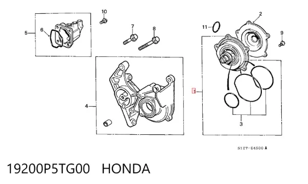 Bomba de água (bomba) de esfriamento 19200P5TG00 Honda