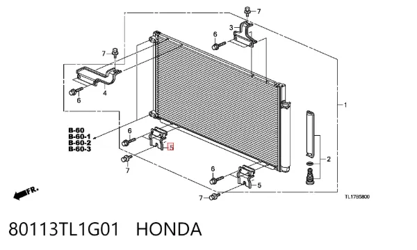  80113TL1G01 Honda