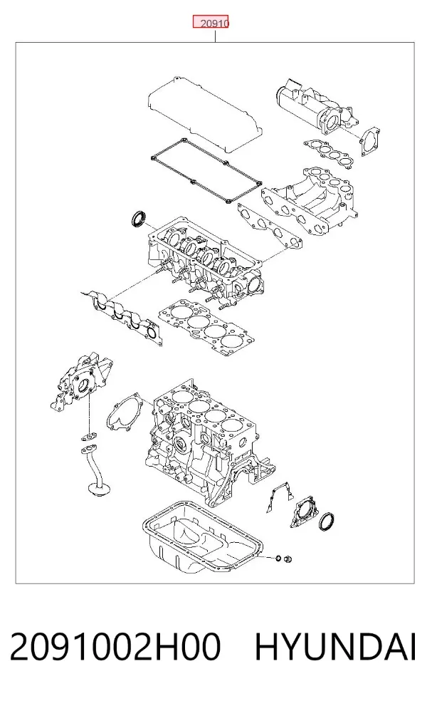 Kit de vedantes de motor completo 2091002H00 Hyundai/Kia