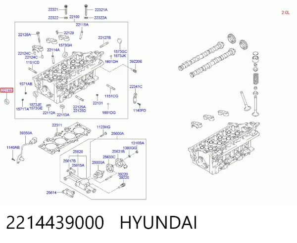 Vedação da árvore distribuidora de motor 2214439000 Hyundai/Kia