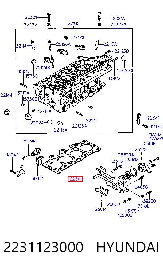 Vedante de cabeça de motor (CBC) 2231123000 Hyundai/Kia
