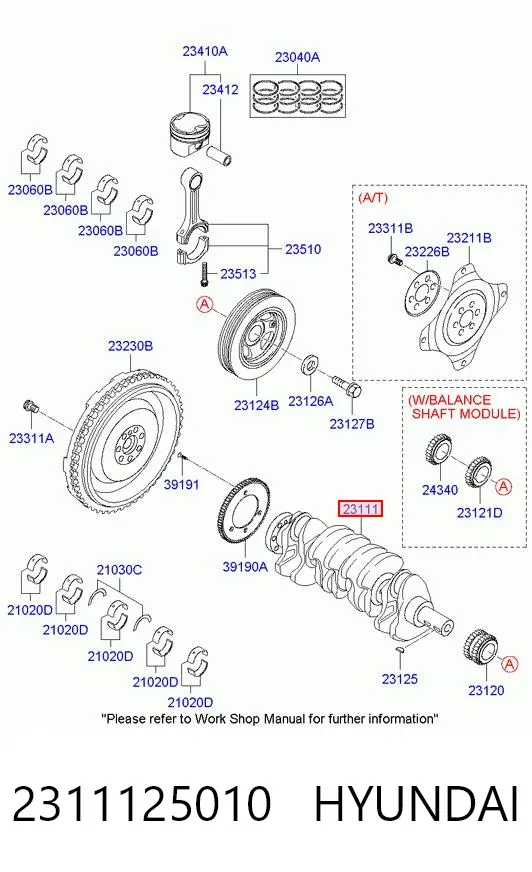 Cambota de motor 2311125010 Hyundai/Kia