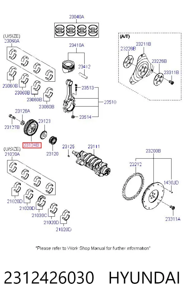 Polia de cambota 2312426030 Hyundai/Kia