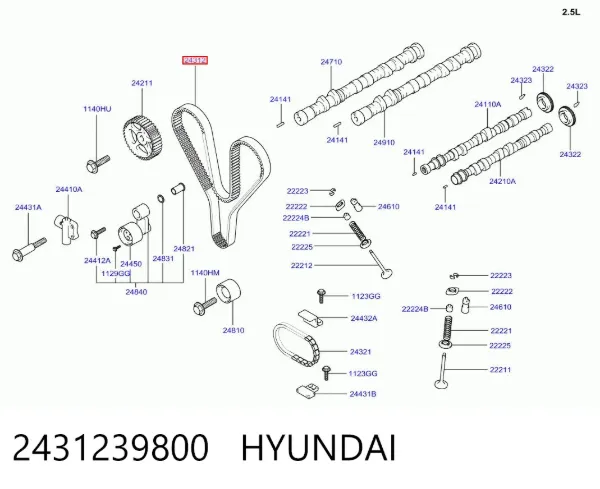 Correia do mecanismo de distribuição de gás 2431239800 Hyundai/Kia