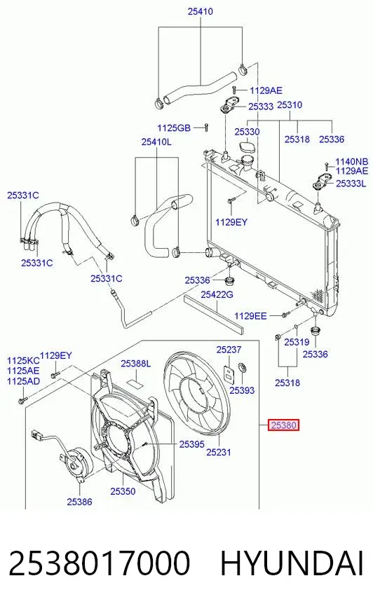 Difusor do radiador de esfriamento, montado com motor e roda de aletas 2538017000 Hyundai/Kia