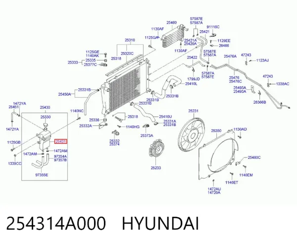 Tanque de expansão do sistema de esfriamento 254314A000 Hyundai/Kia