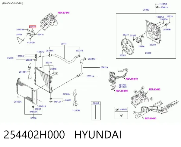 Tampa (tampão) do tanque de expansão 254402H000 Hyundai/Kia