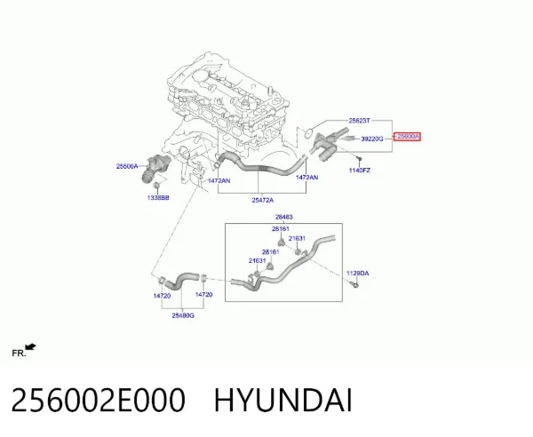 Caixa do termostato 256002E000 Hyundai/Kia