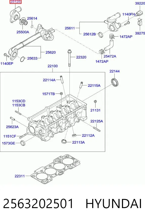 Caixa do termostato 2563202501 Hyundai/Kia