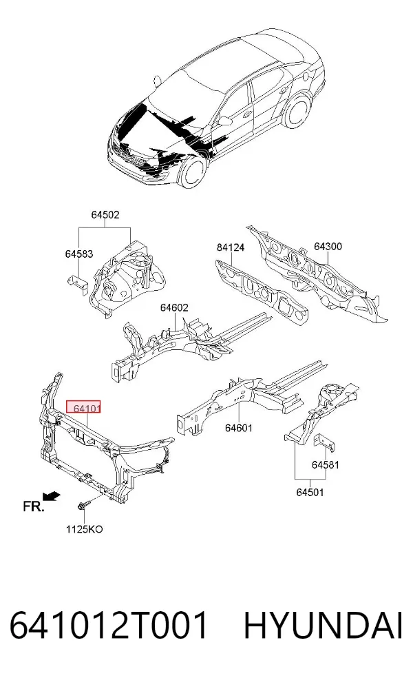 Suporte do radiador montado (painel de montagem de fixação das luzes) 641012T001 Hyundai/Kia