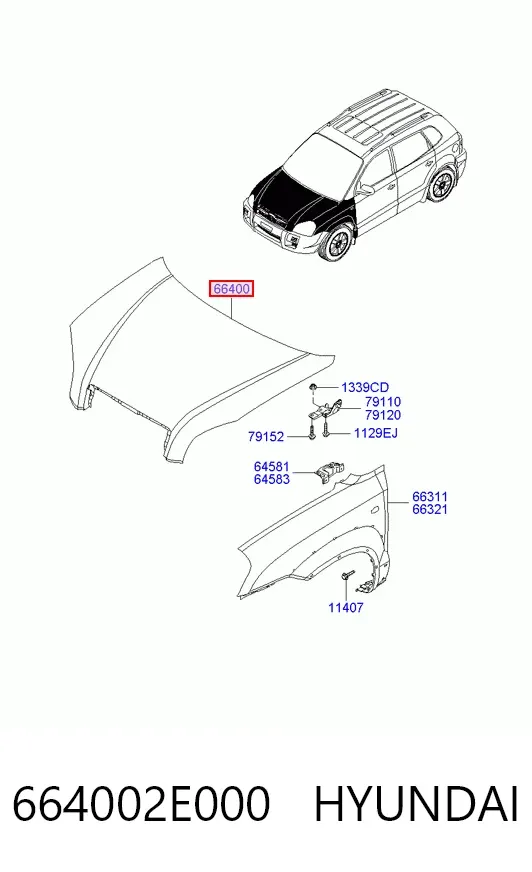 Capota 664002E000 Hyundai/Kia