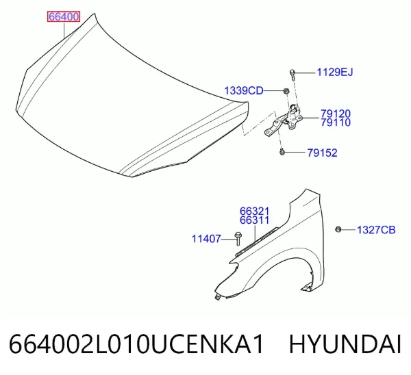 Capota 664002L010UCENKA1 Hyundai/Kia