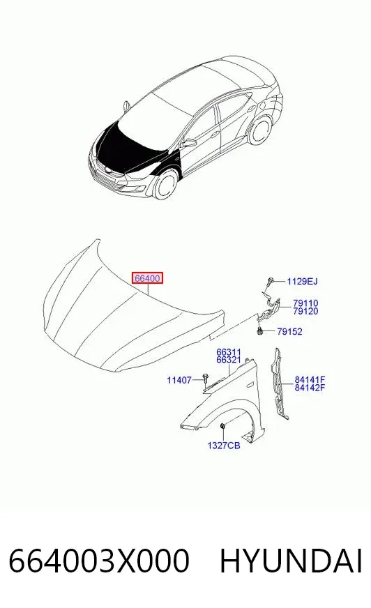 Capota 664003X000 Hyundai/Kia