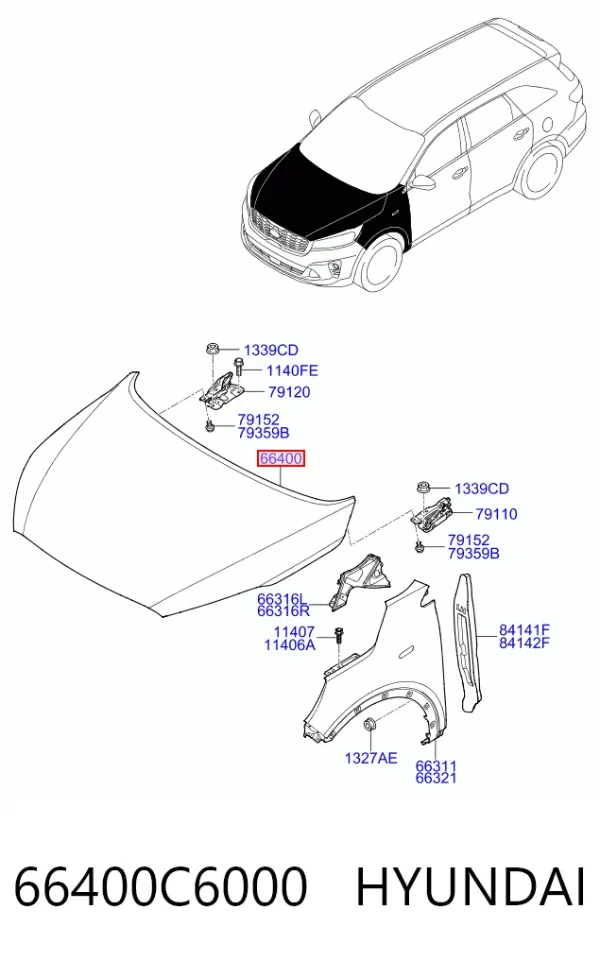 Capota 66400C6000 Hyundai/Kia