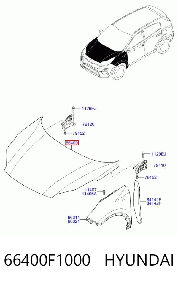 Capota 66400F1000 Hyundai/Kia