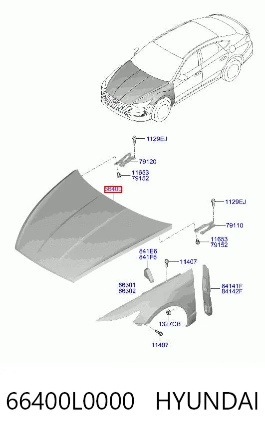 Capota Hyundai Sonata VIII