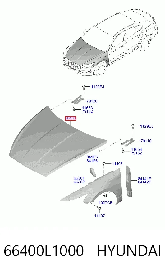 Capota 66400L1000 Hyundai/Kia