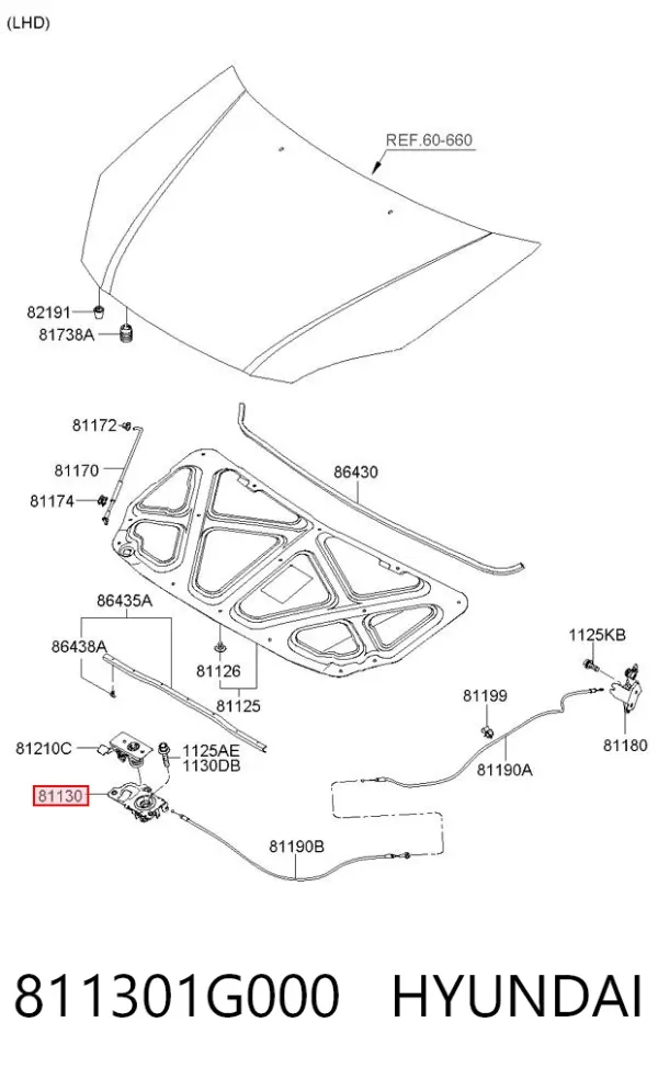 Fecho da capota 811301G000 Hyundai/Kia