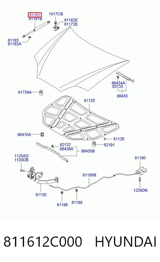 Amortecedor da capota 811612C000 Hyundai/Kia